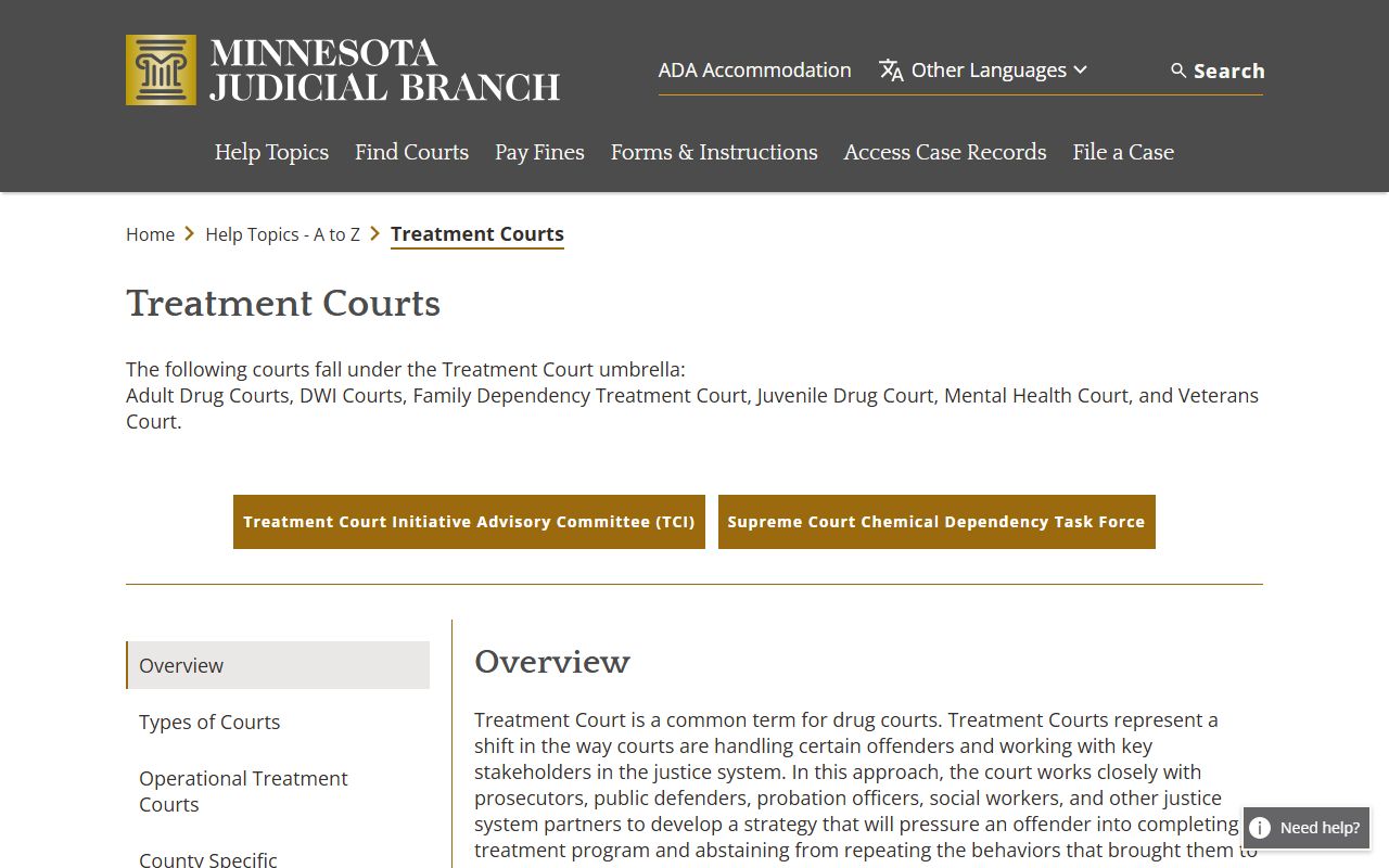 Beltrami County District Court treatment court information